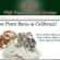 PMI Pawn & Gold Brokers Santa Clara, CA
